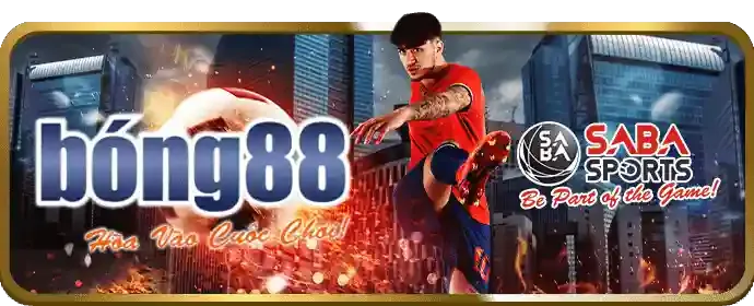 Tổng quan về đá gà trực tuyến C54